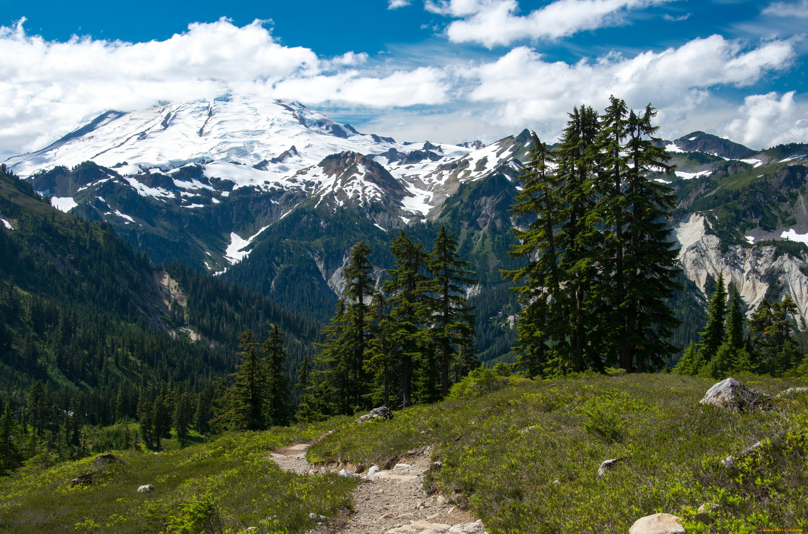 mount baker-snoqualmie national forest  , , , , , forest, baker-snoqualmie, mount, 